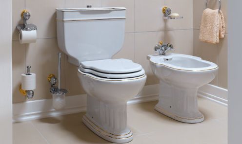Выбор идеальной крышки для туалета - как выбрать правильно