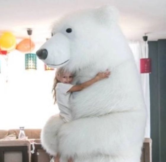 Привітання білим ведмедем: як вибрати та що враховувати?