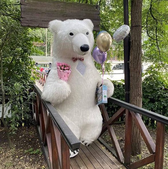 Привітання білим ведмедем: як вибрати та що враховувати?